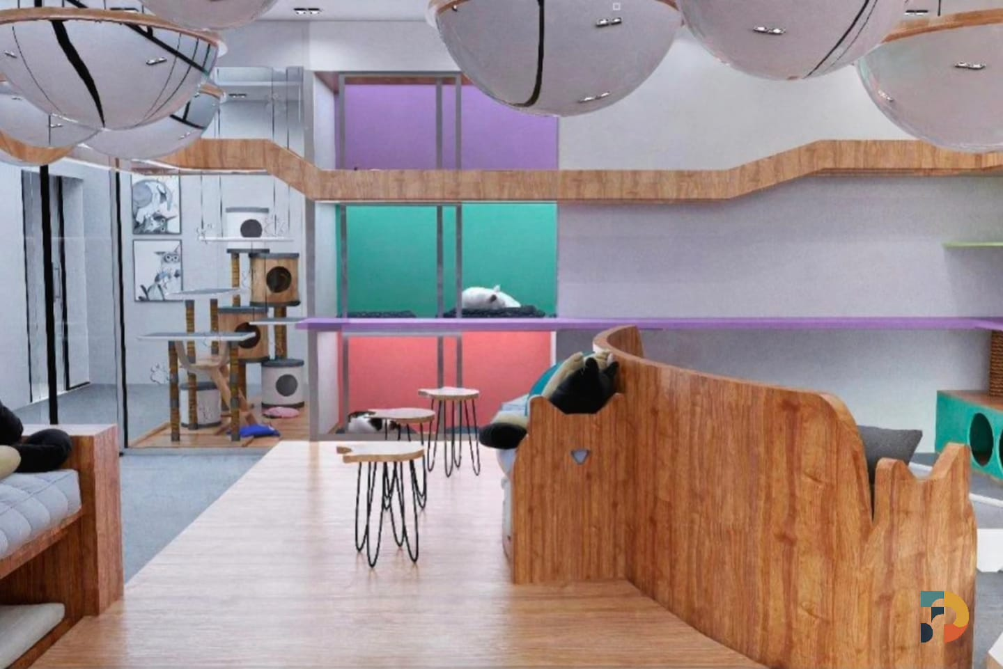 Petoya Cat Lounge Project 4